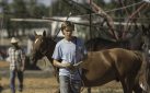 #FIRSTLOOK: TRAILER AND RELEASE DATE SET FOR “LEAN ON PETE”