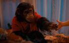 #FIRSTLOOK: NEW CLIP FROM “PRIMATE”