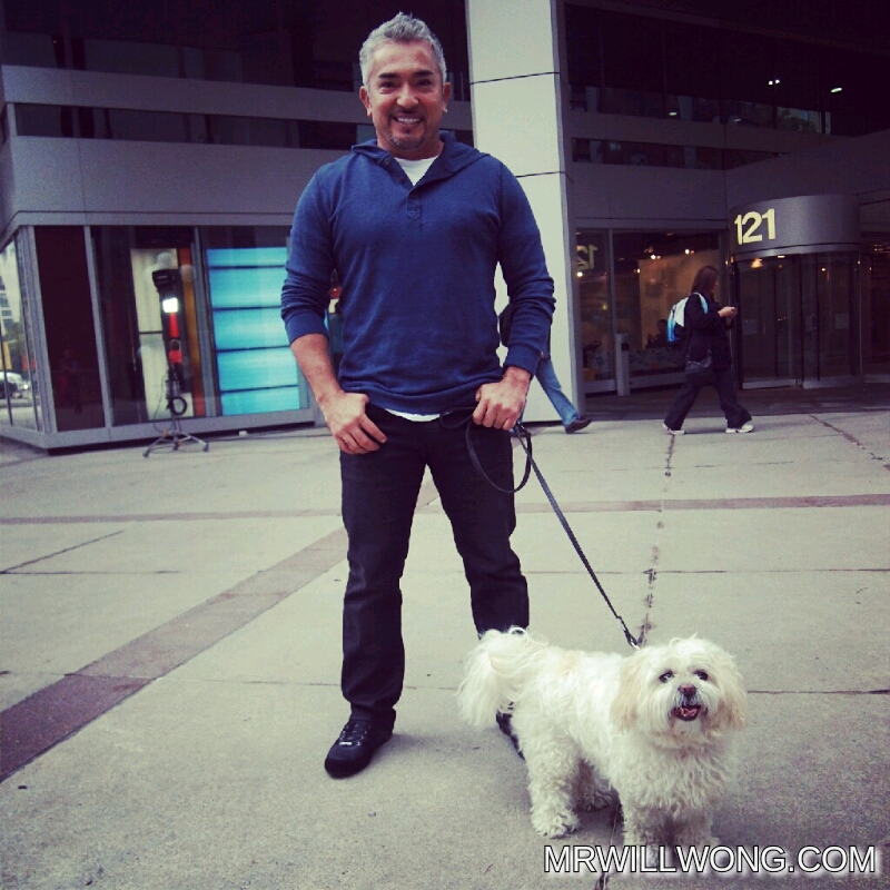 #SPOTTED: CESAR MILLAN IN TORONTO PROMOTING CANADIAN LIVE TOUR