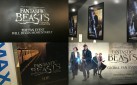 #FIRSTLOOK: “FANTASTIC BEASTS AND WHERE TO FIND THEM” TORONTO SPECIAL FAN EVENT
