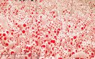 #FIRSTLOOK: YAYOI KUSAMA: INFINITY MIRRORS AT THE ART GALLERY OF ONTARIO