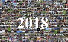 #HORSERACING: A YEAR IN HORSES 2018