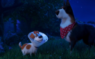 #FIRSTLOOK: NEW TRAILER FOR “THE SECRET LIFE OF PETS 2”