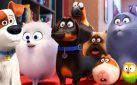 #GIVEAWAY: ENTER TO WIN “THE SECRET LIFE OF PETS 2” ON BLU-RAY™