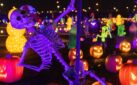 #FIRSTLOOK: ILLUMI – A DAZZLING WORLD OF LIGHTS BY CAVALIA AND SPOOKY