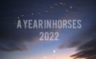 #HORSERACING: 2022 A YEAR IN HORSES