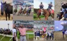 #HORSERACING: A YEAR IN HORSES 2023