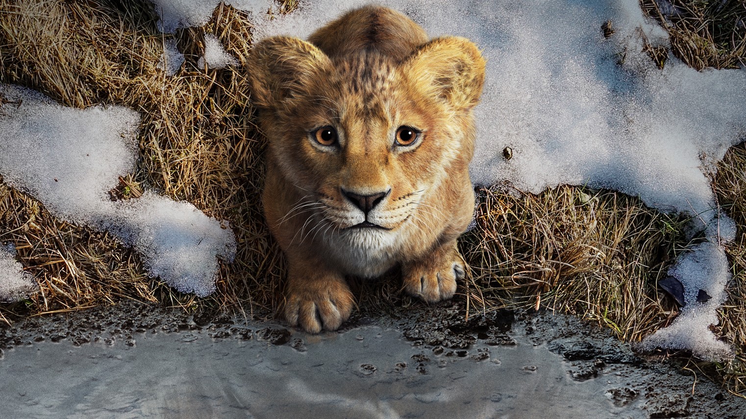 #FIRSTLOOK: “MUFASA: THE LION KING” IN THEATRES THIS DECEMBER