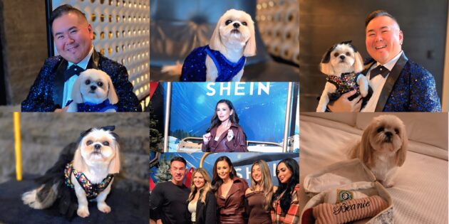 #SPOTTED: ADVENTURES AT THE SHEIN HAULIDAY MARKET NEW YORK CITY 2025