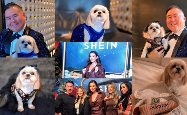 #SPOTTED: ADVENTURES AT THE SHEIN HAULIDAY MARKET NEW YORK CITY 2025