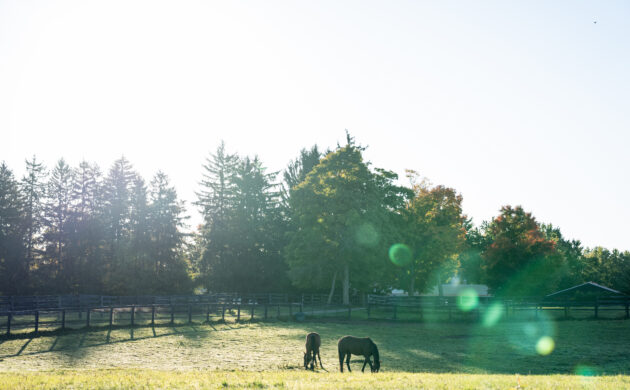 #HORSERACING: WOODBINE CARES HORSEPOWER FUND LAUNCH