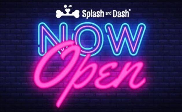 #PETS: SPLASH AND DASH GROOMERIE & BOUTIQUE NOW OPEN IN TORONTO!