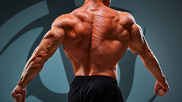 The Weight Loss Paradox: How RAD-140 Affects Sarcopenia and Metabolic Health