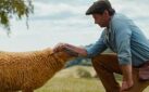 #GIVEAWAY: ENTER FOR A CHANCE TO WIN PASSES TO AN ADVANCE SCREENING OF “THE SHEEP DETECTIVES” IN VANCOUVER AND CALGARY