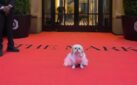 #SPOTTED: MET GALA 2026 AND BROADWAY HIGHLIGHTS