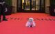#SPOTTED: MET GALA 2026 AND BROADWAY HIGHLIGHTS