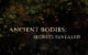 #FIRSTLOOK: “ANCIENT BODIES: SECRETS REVEALED” SEASON TWO DEBUTS JULY 13, 2026