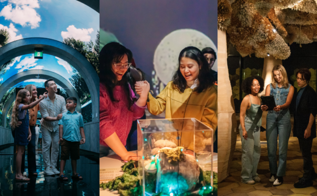 #FIRSTLOOK: ARCADIA EARTH SUMMER 2026 HOURS, “MUSHROOM MUSIC” EXTENSION, AND RETURN OF PLANETARIUM EXPERIENCE