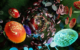 #FIRSTLOOK: ARCADIA EARTH CIVIC DAY WEEKEND 2026