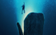 #FIRSTLOOK: NEW TRAILER FOR “WHALEFALL”