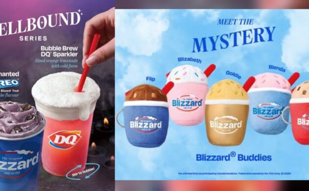 #FOOD: DQ BLIND BOXES MYSTERY BLIZZARD BUDDIES AND SPELLBOUND SERIES