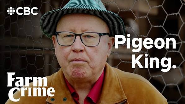 #FIRSTLOOK: “THE PIGEON KING” ARRIVES NOVEMBER 18, 2026 ON CBC